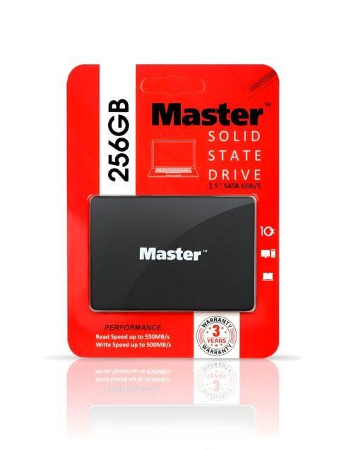 MASTER 256 GB SATA SSD