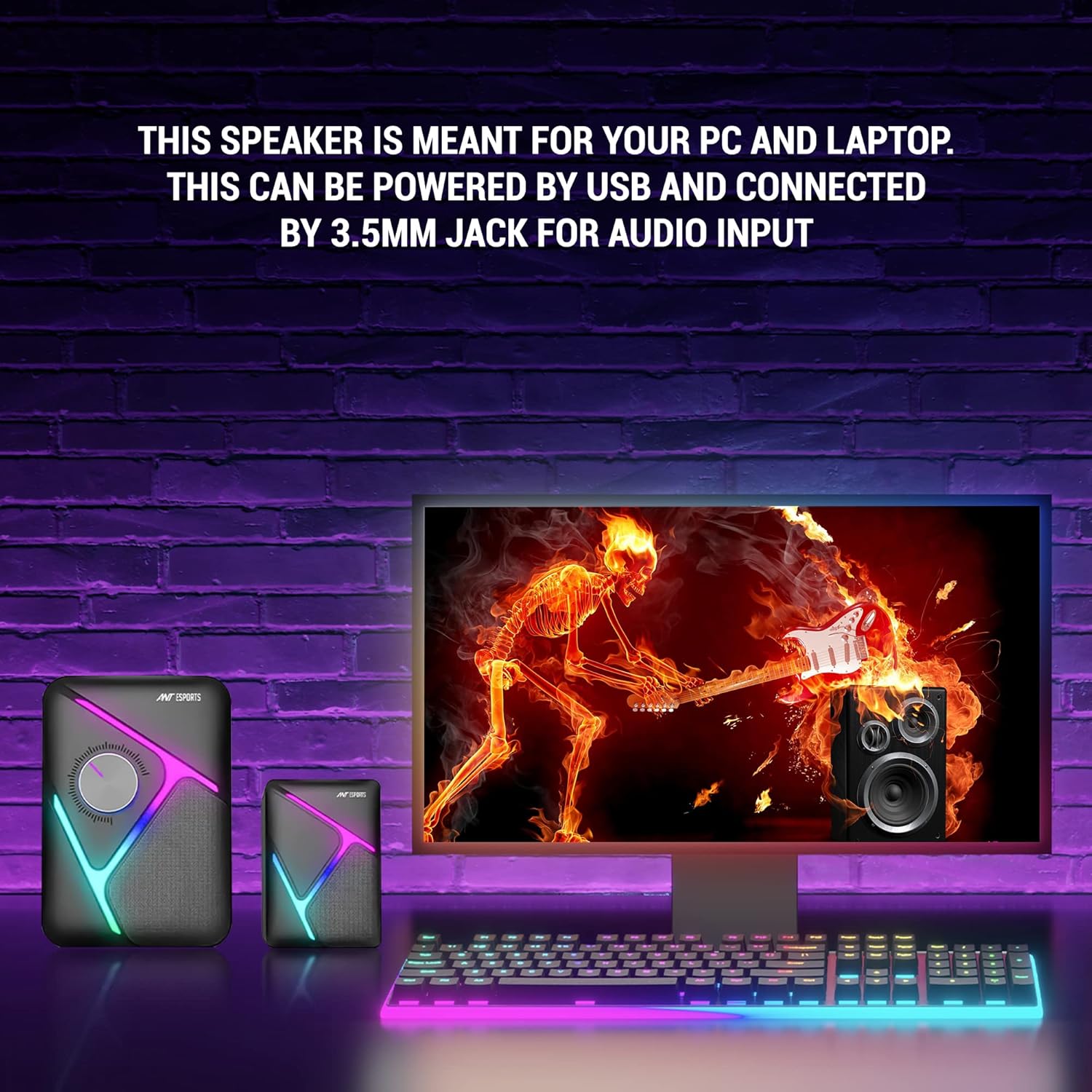 81ilhXMXBDL._SL1500_